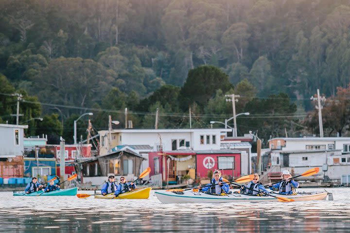 Scenic Sausalito Kayak Tour: Beginners Welcome  image
