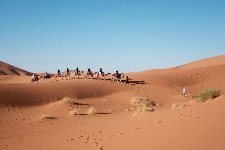  Sahara 3-day Tour from Marrakech to Fes image