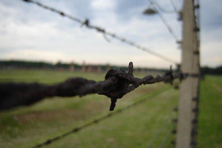 From Krakow: Auschwitz Birkenau - Individual Tour with Private Transport image