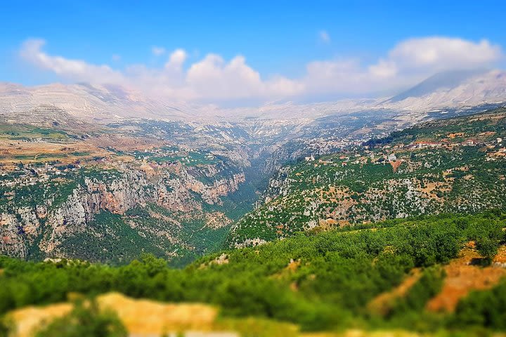 Private Tour to Qadisha Valley, Gibran Museum and Cedars of God from Beirut image