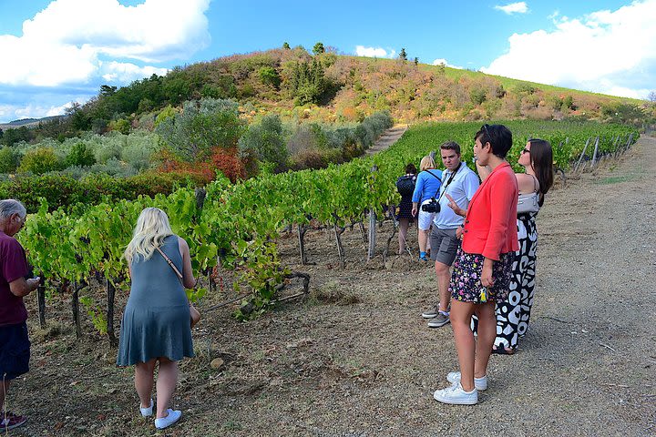 Chianti Classico and Super Tuscan 3 Winery Tour image