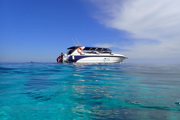 Tin Adventure Sea Tour to Koh Rok from Koh Lanta image