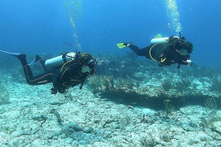 2 Tank Reef Dive in Mexico image