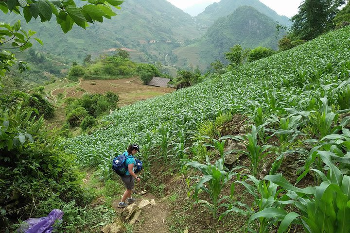 Sapa : Water fall - Luscious Nature trek and fantastic views image