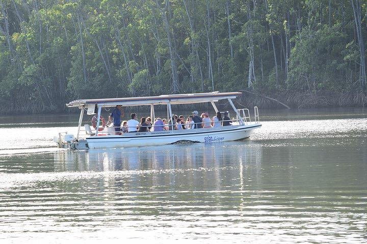 Private Daintree and Cape Tribulation Tour from Port Douglas image