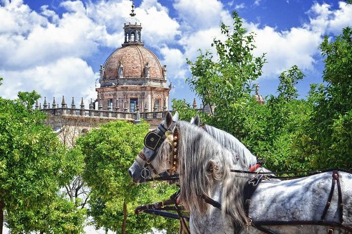 Jerez de la Frontera History and Art Walking Tour image