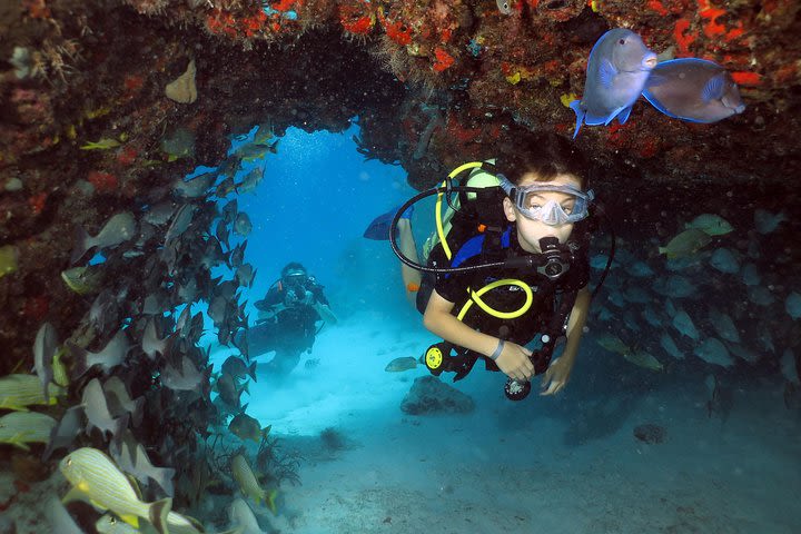 Discover Scuba Diving Course in Playa del Carmen with Two Coral Reef Dives image