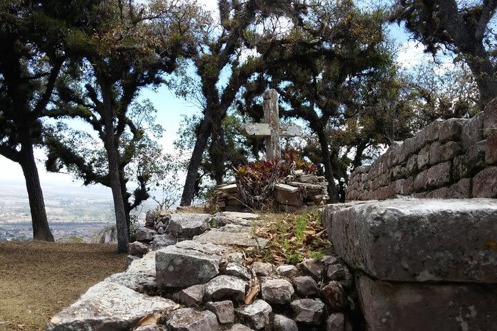 Private 1-Day Tour to El Lagartero from San Cristobal image