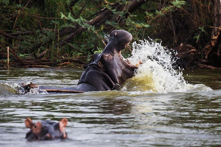 3 Days Murchion falls National park  image