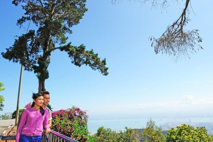 Full-Day Penang Island Exploration Tour image