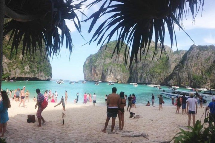 Full-Day Phi Phi Lah, Phi Phi Don, Bamboo Island from Koh Lanta(By Speed Boat) image