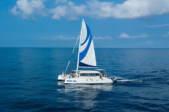 Deluxe Sail & Snorkel to the Captain Cook Monument  image