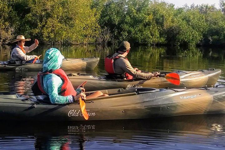 Kayak the Everglades Forest and Marsh Prairies  image