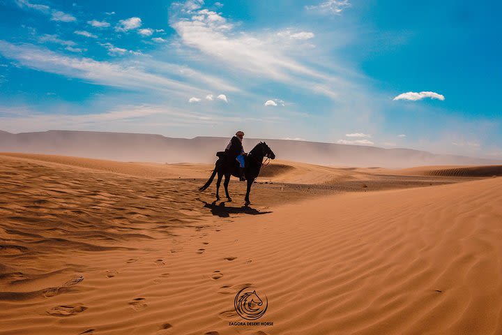 2 days horseback Tour from Marrakech to Zagora image