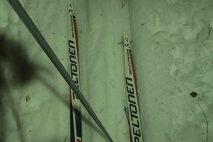 Cross-country skiing at Pyhä-Luosto image