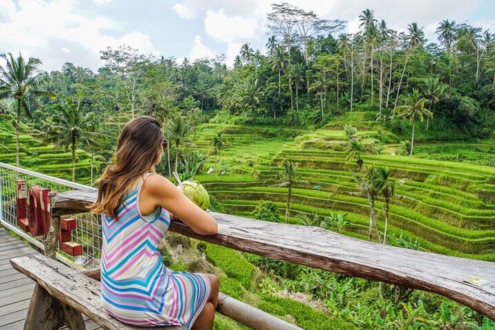 Best Of Ubud: UNESCO Rice Terraces, Monkey Forest & Waterfall image