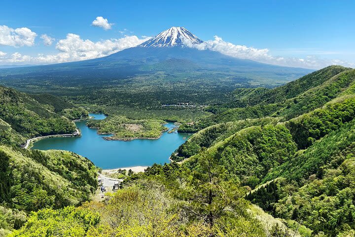 Mt Fuji views and Aokigahara Forest nature conservation hike and trash pick up image