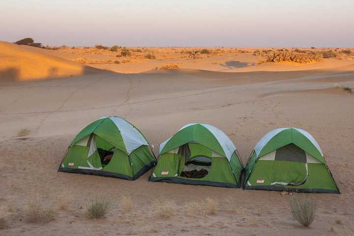 Become a Desert Nomad – Overnight Camel Safari in the Wild image