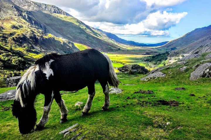 North Wales Adventure Sightseeing Day Trip from Liverpool image