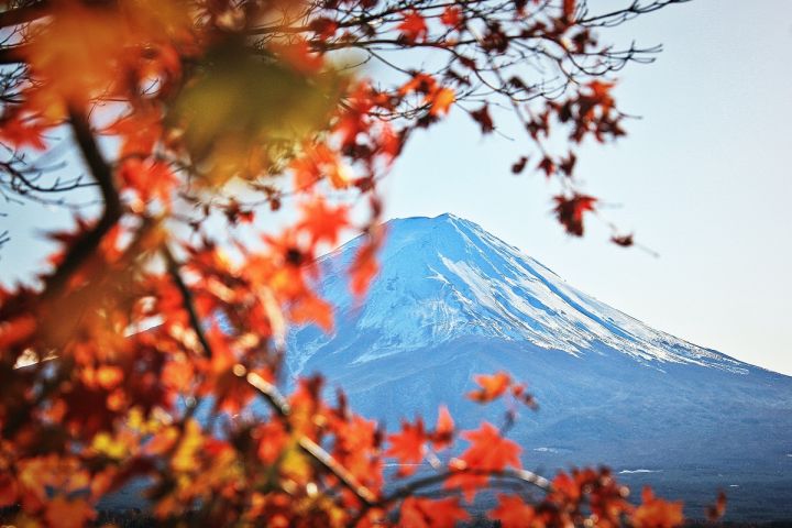 Virtual Tour to Discover Mount Fuji image