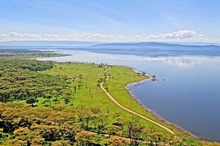 Lake Nakuru Safari Day Trip from Nairobi image