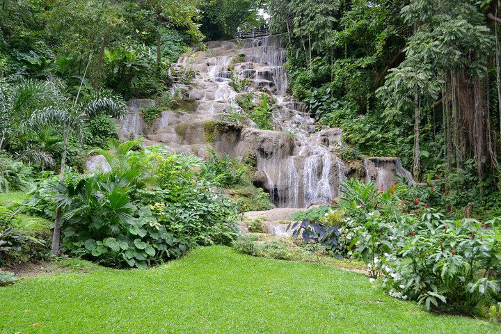 Konoko Falls and Tropical Garden Tour from Runaway Bay image