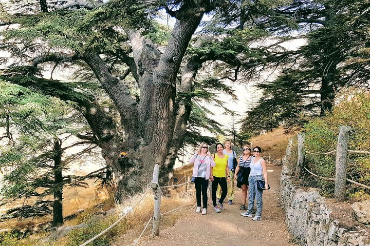 Small-Group Tour with Lunch to Qadisha Valley, Bcharre and Cedars of God image