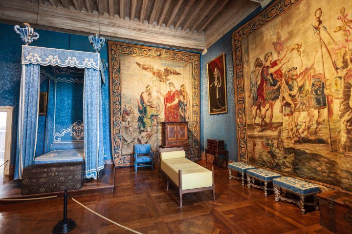 Chenonceau & Chambord Full Day Trip from Tours (private) image