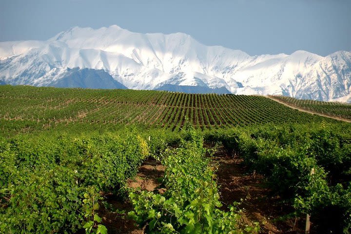 Private Wine Tour in Azerbaijan image