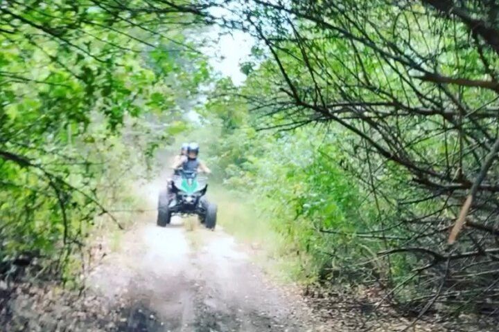 Quad Bike Experience in Bradenton image