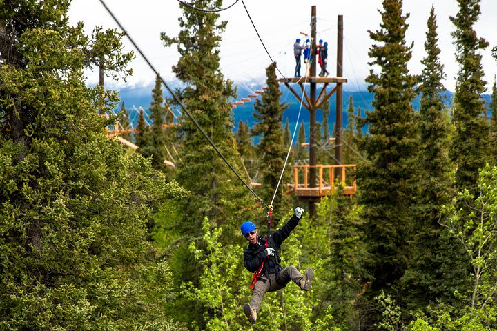 Denali Park Zipline Adventure image