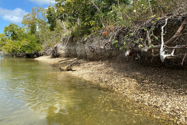 All Day Everglades Tour w Airboat + Big Cypress Preserve + Ten Thousand Islands image