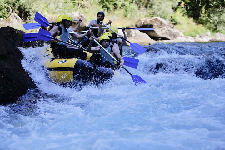 Full-day Tara River White Water Rafting Tour from Kotor image