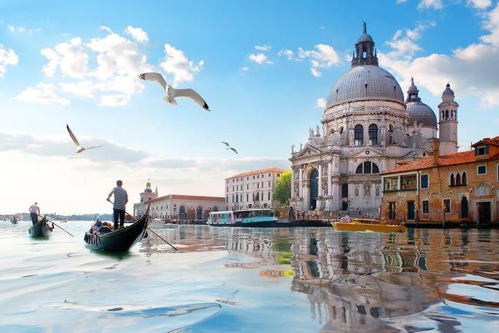 Excursion from Rimini to Venice by minivan image