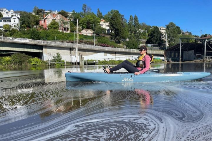 Launceston Guided Kayak Tour image