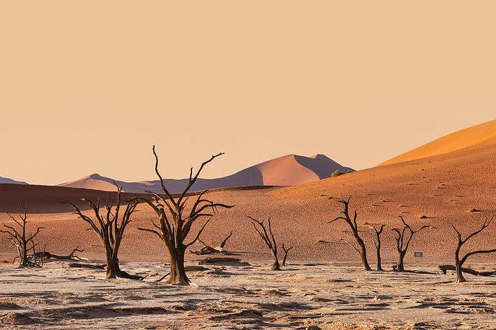 10 Days Taste of Namibia  image