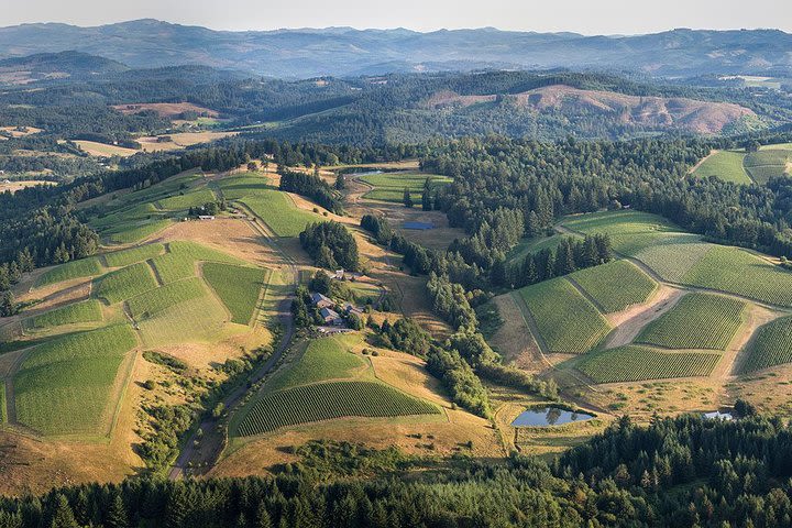 All Day Northern Oregon Wineries and Forest Bike Tour image