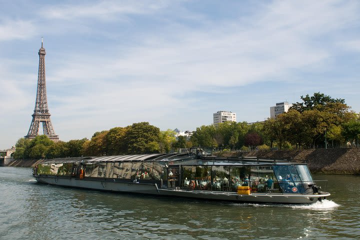 Paris City Tour & Lunch Cruise with Minivan image