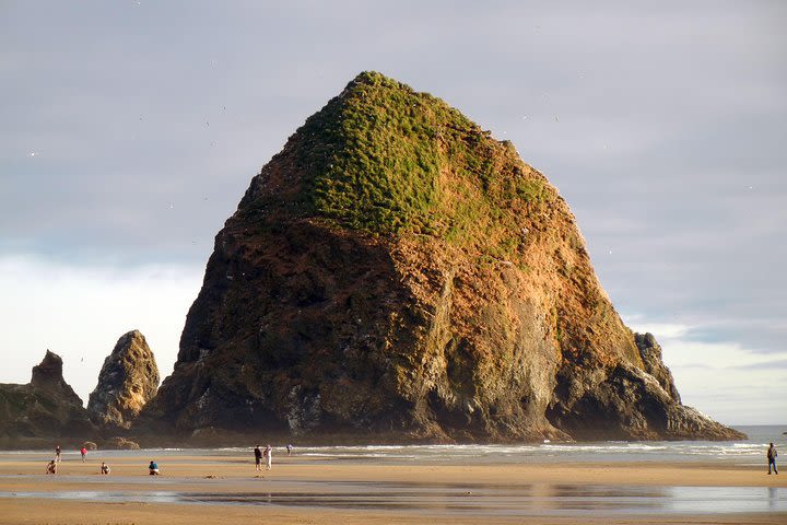 Oregon Coast Tour from Portland image