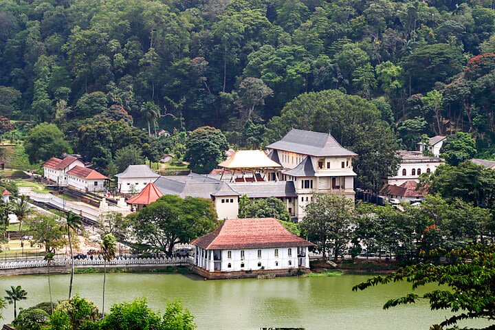 Kandy City Tour from Negombo image