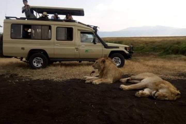 5 Days Serengeti Discovery image