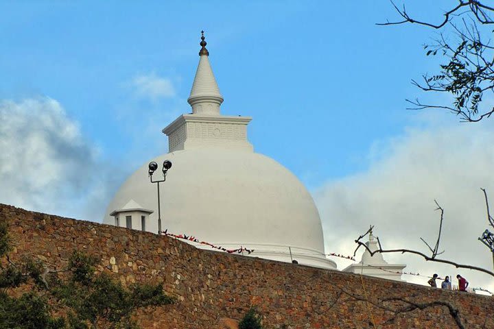 Southern Coastal End Temple Tour from Hambantota Habour image