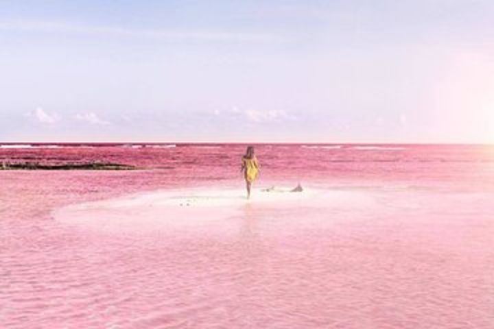 Private tour at Rio Lagartos & Las Coloradas image