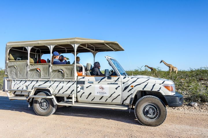 3-Day Etosha Safari Camp Experience image