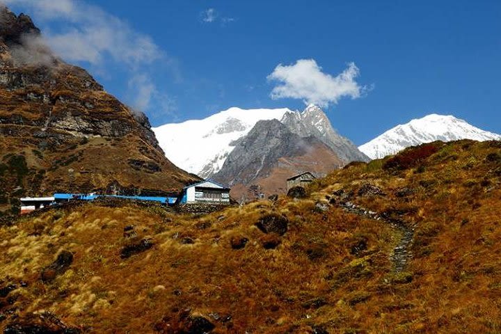 Australian Base Camp with Dhampus Trek from Pokhara. image