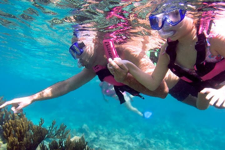 Xcaret Nature Adventure image