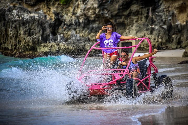 Discovery Package: Snorkeling Cruise and Dune buggy Adventure At Punta Cana image