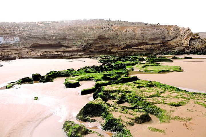 Walk between Argan Forest, Ocean & Waterfalls image