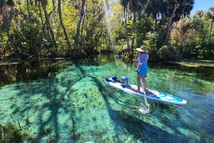 Manatees Paddle Board or kayak Adventure at Silver Springs image