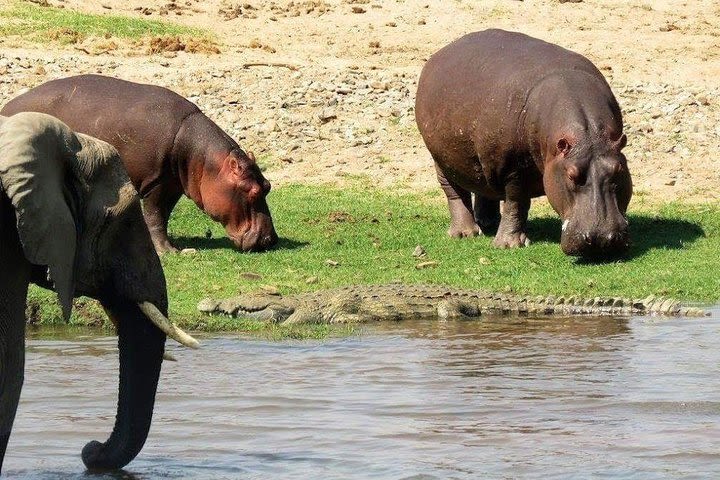 3 Days Safari to Selous Game Reserve from Morogoro. image